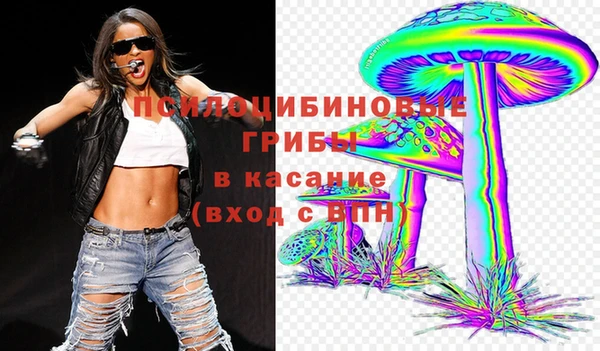 соль ск Алексеевка
