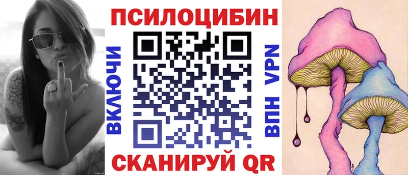 Галлюциногенные грибы мицелий  что такое   Аргун 